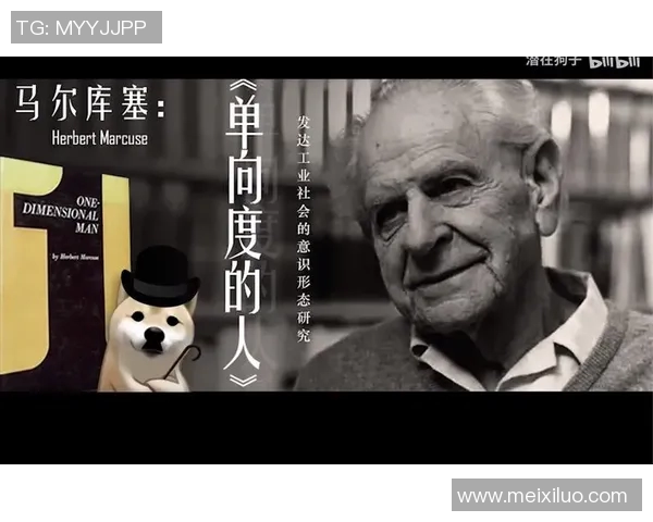 当足球明星的背后付出与荣耀是否值得探讨与思考