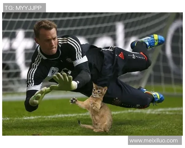 当足球明星与可爱猫咪的奇妙邂逅带来的温馨与欢乐