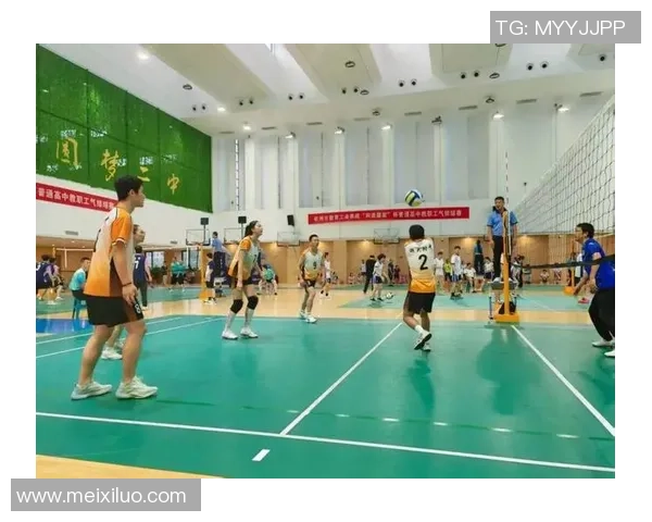 杭州排球队技术分析与训练方法探讨助力排球水平提升 杭州排球队技术分析与训练方法探讨助力排球水平提升