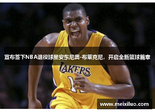 宣布签下NBA退役球星安东尼奥-布莱克尼，开启全新篮球篇章