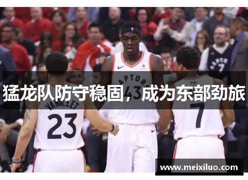 猛龙队防守稳固，成为东部劲旅
